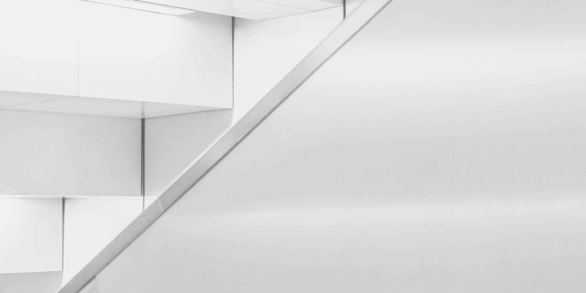 Cover Image for The Dynamic Path of Life